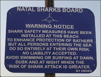 20120518-Shark warning Salt Rock South Africa.jpg